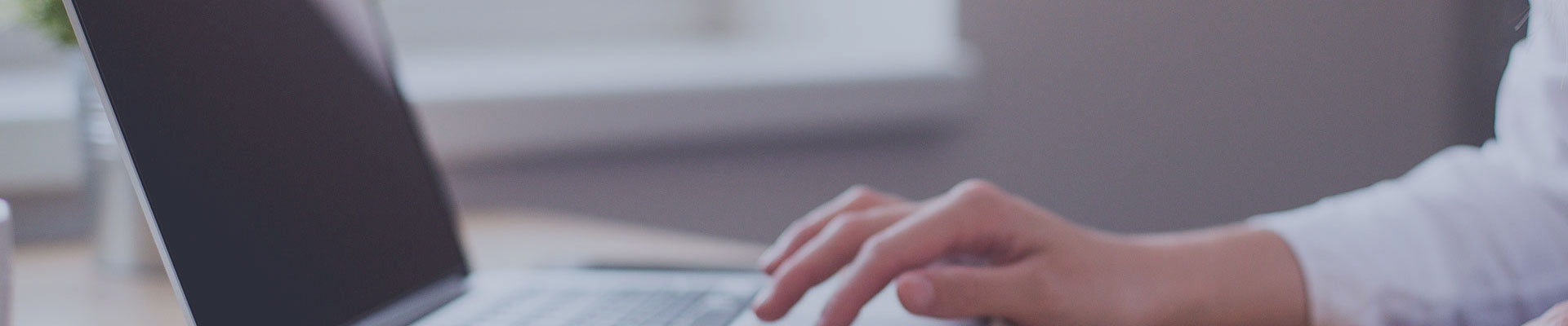 డౌన్‌లోడ్ చేయండి