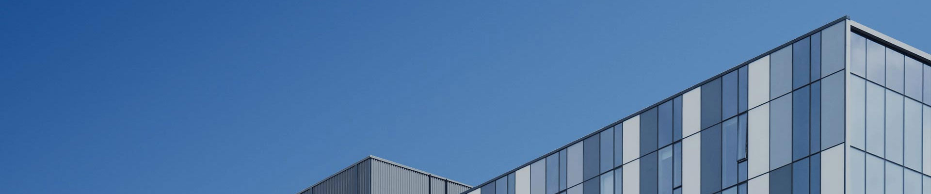 గోప్యతా విధానం